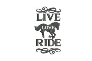Live Love Ride: A Designer's Review for Real Projects